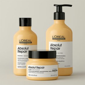 Absolut Repair
