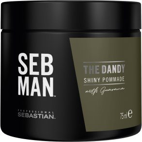 Sebastian SEB MAN The Dandy Pomade