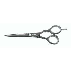 Jaguar Diamond E Titan 6.0